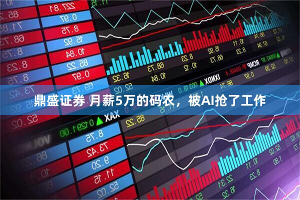 鼎盛证券 月薪5万的码农，被AI抢了工作